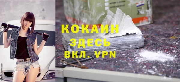 шишки Алексин