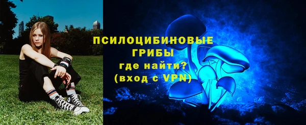МДПВ Алексеевка