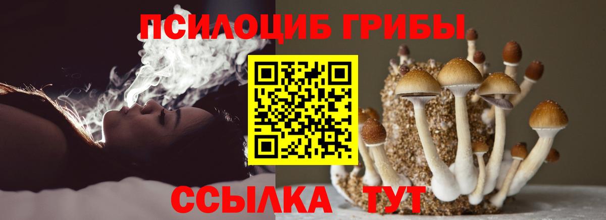 Псилоцибиновые грибы Psilocybe Большой Камень